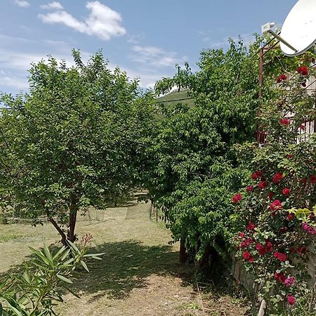 Apartment Natali Kaštel Stari Zewnętrze zdjęcie